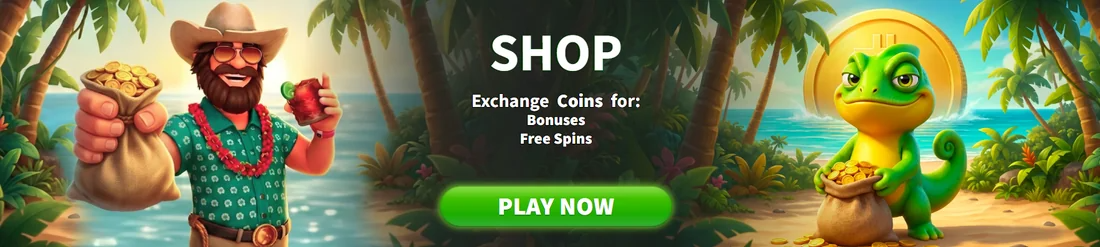 kazeeno-shop-munten
